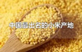 中国最出名的小米产地