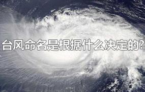 台风命名是根据什么决定的?