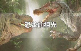 恐龙的祖先