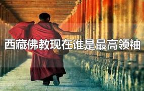 西藏佛教现在谁是最高领袖