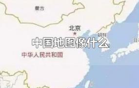 中国地图像什么