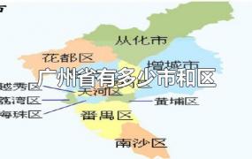 广州省有多少市和区