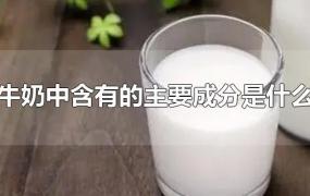 牛奶中含有的主要成分是什么