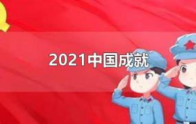 2021中国成就