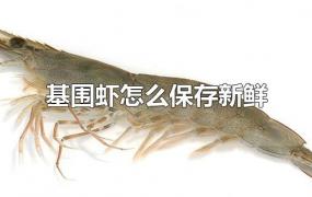 基围虾怎么保存新鲜