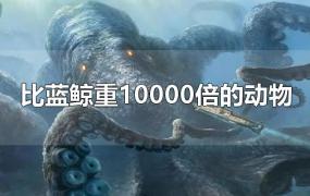 比蓝鲸重10000倍的动物