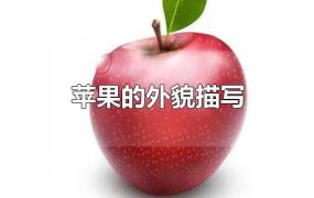 苹果的外貌描写