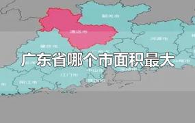 广东省哪个市面积最大
