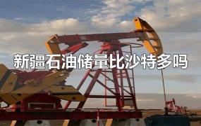 新疆石油储量比沙特多吗