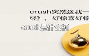 crush是什么梗