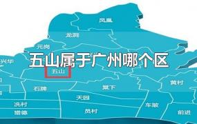 五山属于广州哪个区