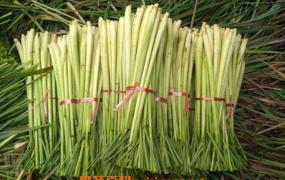 香茅草怎么用 香茅草在卤料中的作用
