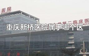 重庆新桥医院属于哪个区