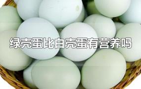 绿壳蛋比白壳蛋有营养吗