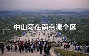 中山陵在南京哪个区