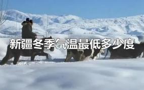 新疆冬季气温最低多少度
