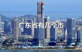 广东省有几个市