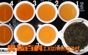 大红袍茶的知识介绍