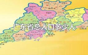 广东省总人口多少人
