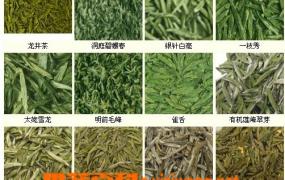 茶叶的分类和品种基本知识