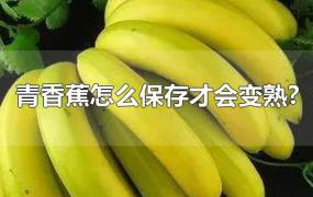 青香蕉怎么保存才会变熟?