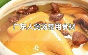 广东人煲汤常用食材