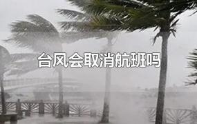 台风会取消航班吗