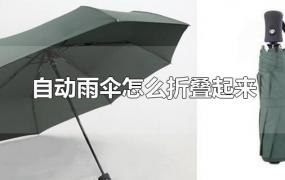 自动雨伞怎么折叠起来