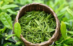 绿茶的美容功效与用法