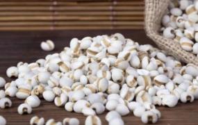 薏仁米的功效与作用 薏仁米的食用方法