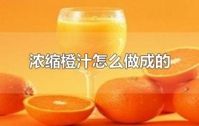 浓缩橙汁怎么做成的