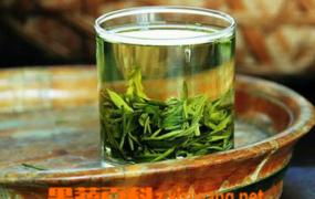 什么是蒸青绿茶 蒸青绿茶的泡茶方法