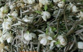 中国花茶的种类有哪些 花茶是根据什么命名的
