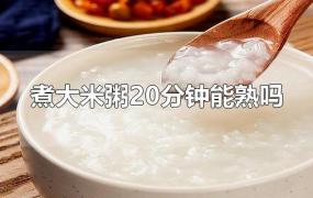 煮大米粥20分钟能熟吗