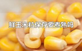 鲜玉米粒保存要煮熟吗