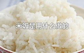 米饭是用什么做的
