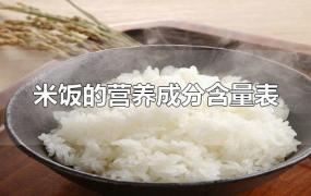 米饭的营养成分含量表
