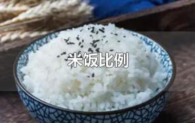 米饭比例