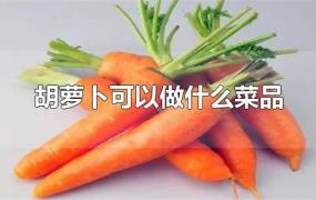 胡萝卜可以做什么菜品