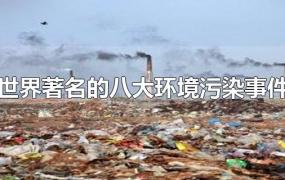 世界著名的八大环境污染事件