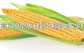 玉米20个水分到14减少多少斤