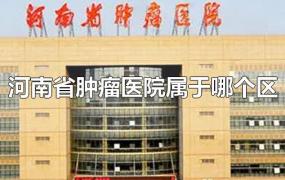 河南省肿瘤医院属于哪个区