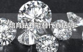 培育钻石能替代真钻吗