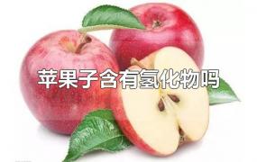 苹果子含有氢化物吗