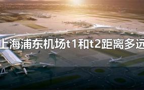 上海浦东机场t1和t2距离多远