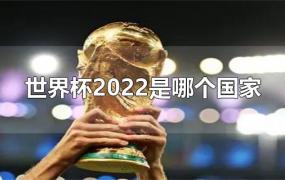 世界杯2022是哪个国家