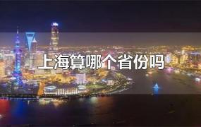 上海算哪个省份吗