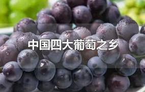 中国四大葡萄之乡