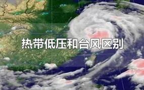 热带低压和台风区别