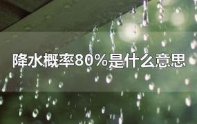 降水概率80%是什么意思